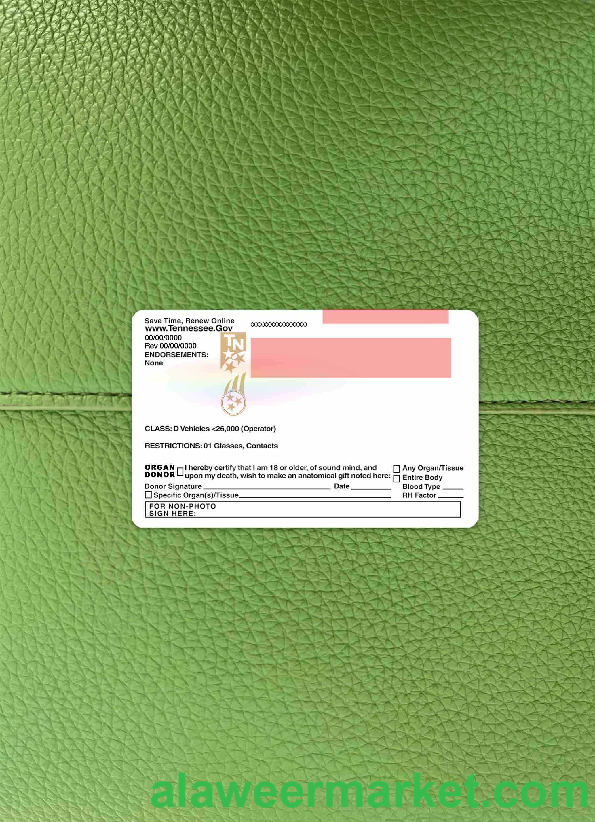 USA Tennessee driving license under 21 photolook BACK